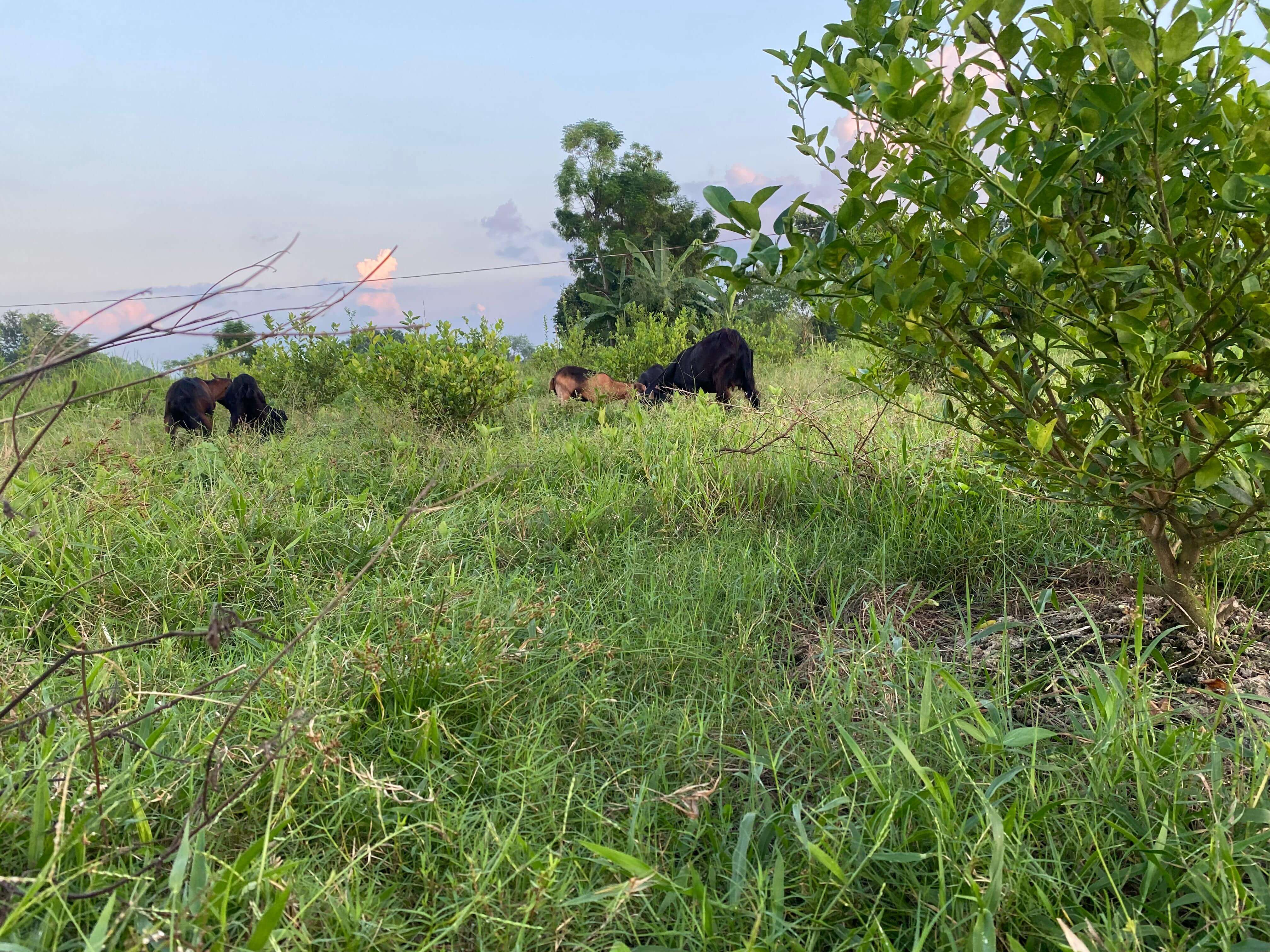 3 a202 e e e49 a e c3 c0 e c26%7 c0