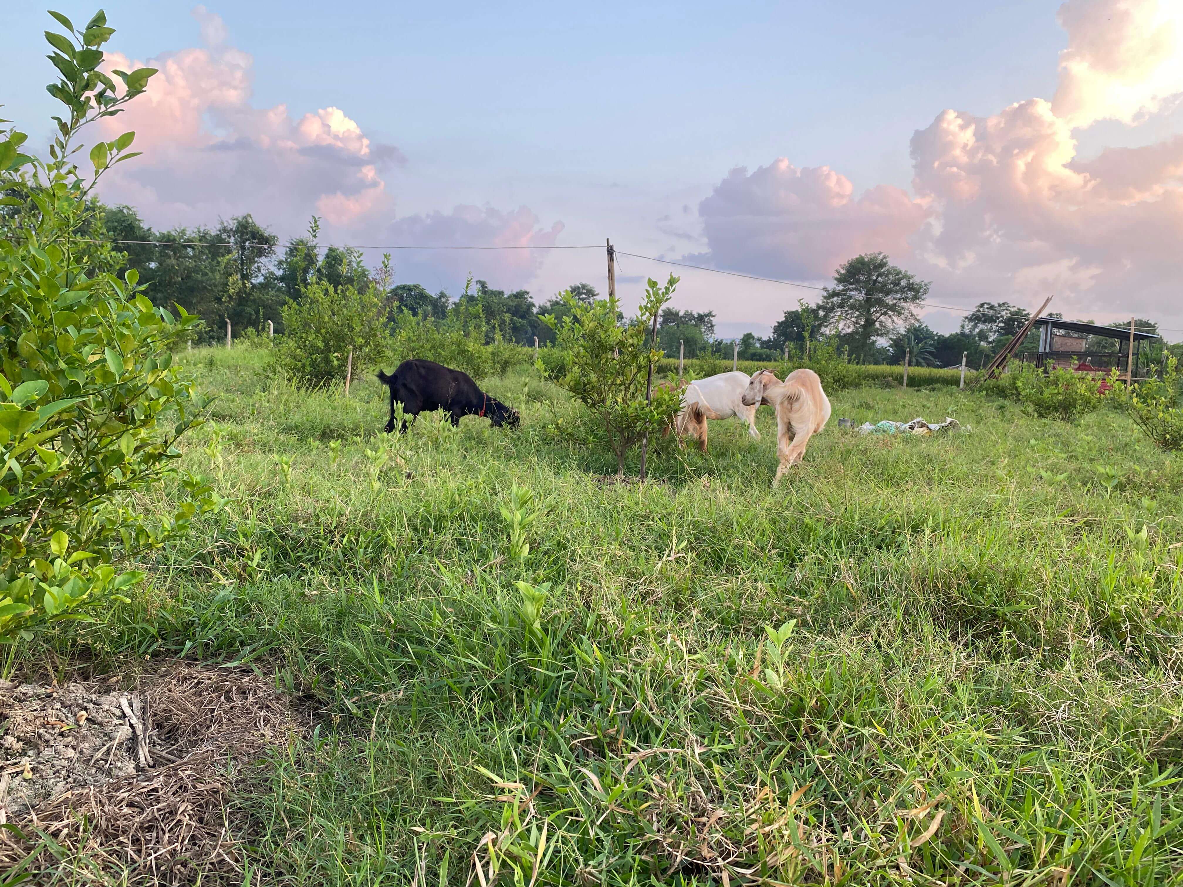 3 a8 e83085 f c39 c e7 b b7 d%7 c0